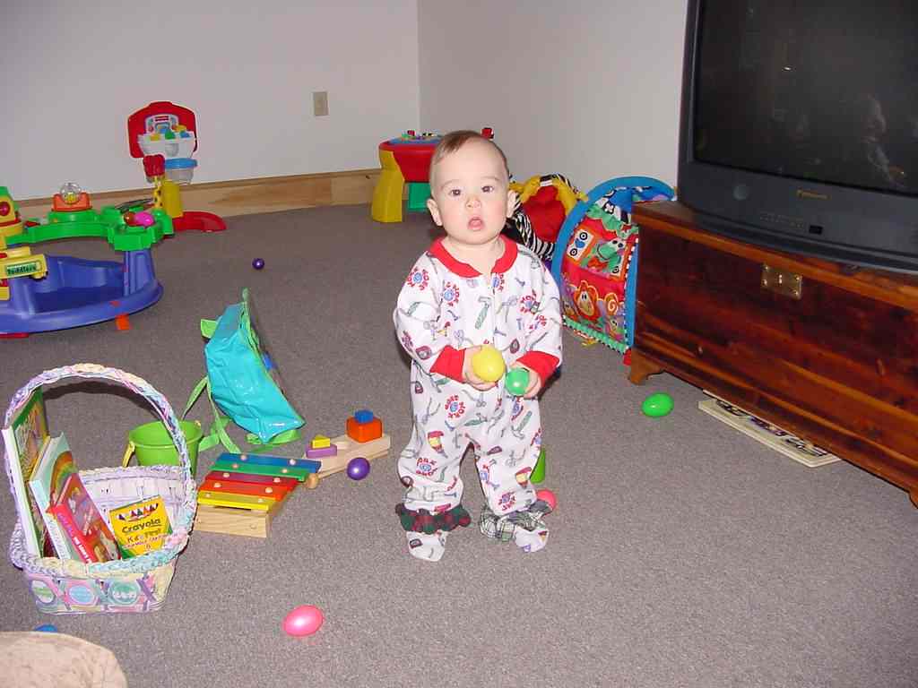 Jacob Maker, hunting eggs